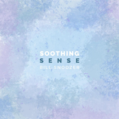 Soothing Sense - Single
