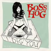 I Dig You cover