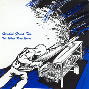 The Whole Nine Yards