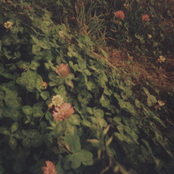 We Wasted All of Our Lives