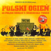 Polski ogień