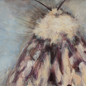 Далеку од вистинското нешто / Daleku od vistinskoto neshto