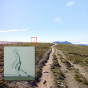 CONFIRMED FAKE ／／ DMT​​​-​​​441