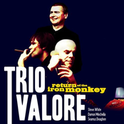 Pinturas Negras by Trio Valore