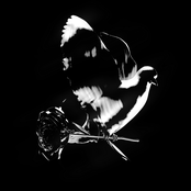 Pop Smoke: Shoot for the Stars Aim for the Moon (Deluxe)