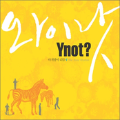 아지랑이 리듬