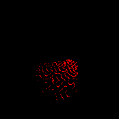 Water Womb World OST