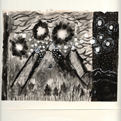 Some Bright Moonrise