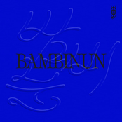 BamBiNun