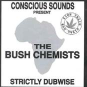 Strictly Dubwise