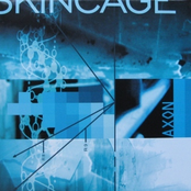 Relapse by Skincage
