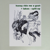 Honey Ride Me A Goat / Lakes split EP