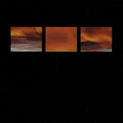 The Suncrows Fall And Tree