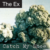 Catch my shoe Album Picture