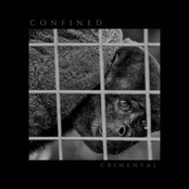 Confined