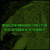 Desolated Obsession Structure / Slaughterhouse Punishment