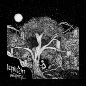 The Shadow of the Past