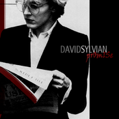 Le Pollen by David Sylvian