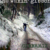 the waxin' gibbon