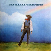 Give Your Woman What She Wants by Taj Mahal