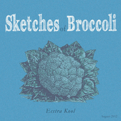 Sketches of Broccoli
