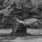 The Day Has Again Bruised Me