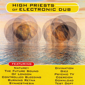 High Priests Of Electronic Dub