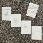 16 DEMOS
