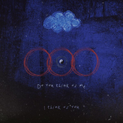 Falling Through Petals