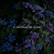 I Just Wanna Fall In Love - Single
