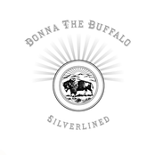 Donna the Buffalo: Silverlined