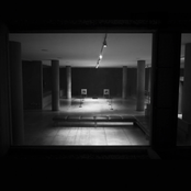 Environmental Studies