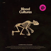 Flowers for All Occasions