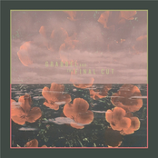 Get Your Feet Back On The Ground (ep)