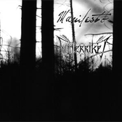 Vinterriket & Manifesto (Split)
