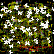 Noise Experiments - Demo I