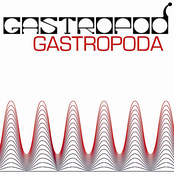 Gastropoda