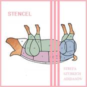 Strefa Szybkich Adidasów