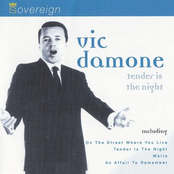 When Lights Are Low by Vic Damone