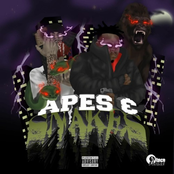 Apes & Snakes