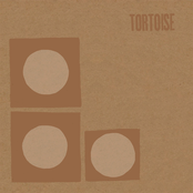 Tortoise: Tortoise