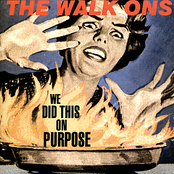 We Did This on Purpose - EP