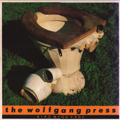 Raintime by The Wolfgang Press