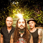 the winery dogs