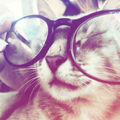 cum and drugz freestyle