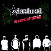 Lightning Rod by Zebrahead