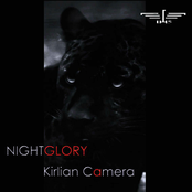 I'm Not Sorry by Kirlian Camera