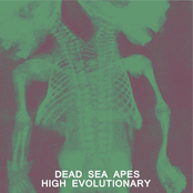 Turpentine by Dead Sea Apes
