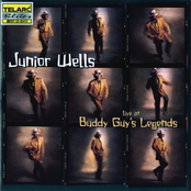 Today I Started Loving You Again by Junior Wells