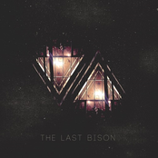 The Last Bison: VA